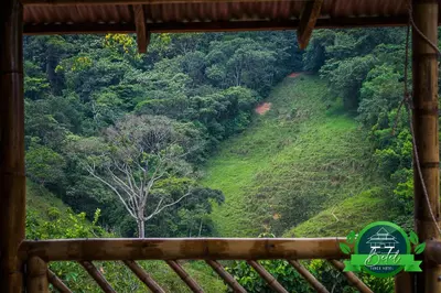a view from a window of a hill with a tree at Finca Hotel Betel in San Carlos