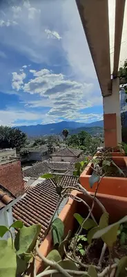 a view of a roof with plants on it at Villa del Prado in Medellín