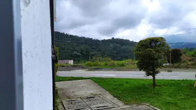 a view from a door of a road with a tree at Apartamento-Habitación Palonegro Manizales in Manizales