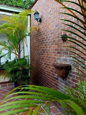a brick wall with plants and a planter on it at Casa Amarilla, San Carlos, Antioquia in San Carlos