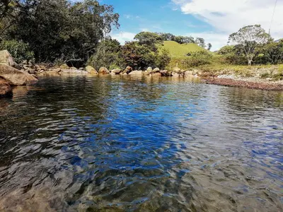 a river with rocks on the side of it at Casa Amarilla, San Carlos, Antioquia in San Carlos