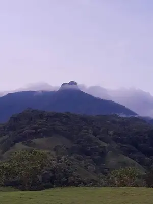 a view of a mountain with trees in a field at Casa Amarilla, San Carlos, Antioquia in San Carlos