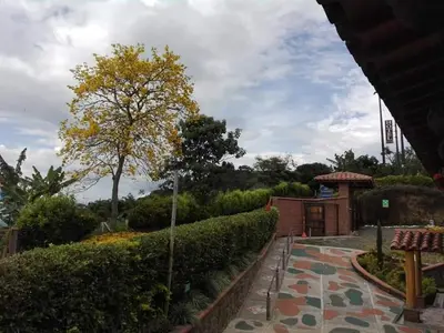 a walkway in a garden with a tree and bushes at Hotel San Felipe Belalcazar in Belcazar Caldas