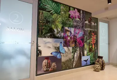 a display case with pictures of butterflies and flowers at Kamaleb Farallones Hotel in Quibdó