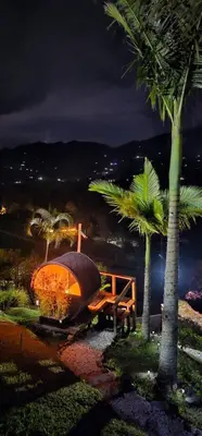 a boat sitting next to a palm tree at night at Glamping Montecarlo Domo Geodesico y Sauna Finlandés Guatapé in Guatapé