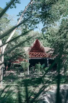 a building in the middle of a forest with trees at Refugio Monte Oscuro in Las Mercedes