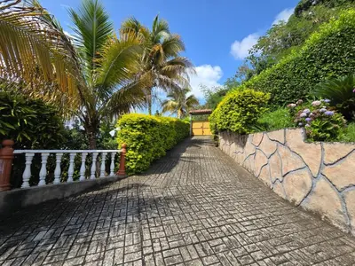 a cobblestone pathway with a fence and palm trees at La mejor opción para tu descanso y recreación. in Mariquita