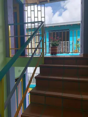 a staircase in a house with a potted plant at Apartamento La Esperanza Guatapé in Guatapé