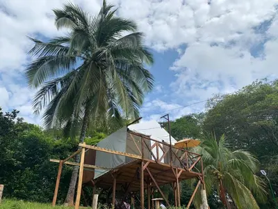 a palm tree behind a building with a tower at Eco-Glamping Shalom in Mariquita