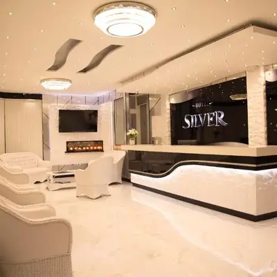 Hotel Silver Guarne