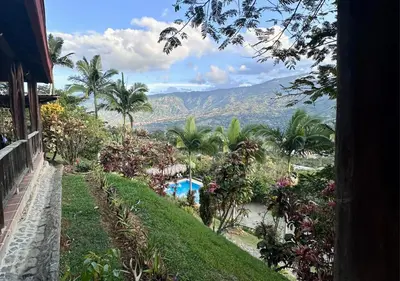 a view of a garden with palm trees and a mountain at Finca Hotel Tierra Verde in Girardota
