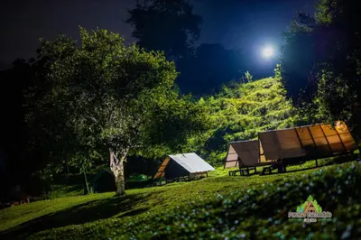 a couple of buildings on a hill at night at Paraíso Escondido Cabañas, Reserva Rio Claro, San Luis-Doradal in San Luis