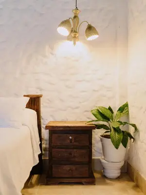 a bedroom with a potted plant on a wooden table at Hotel Kalma in Santa Fe de Antioquia