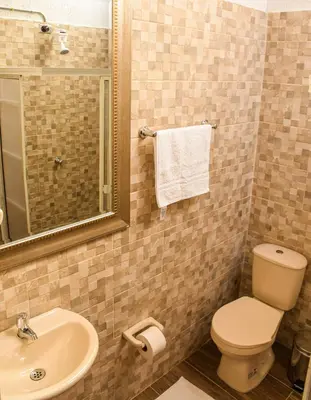 a bathroom with a toilet and a sink and a mirror at La Casa de Ana in Jardin
