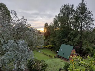 Gallery image of EUCALYPTO CHALET in Guarne
