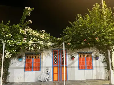 a white dog sitting in front of a building at CASA DEL PARQUE Hotel, en Puerto Perales, corregimiento de Puerto triunfo 30 min del parque Nápoles in Puerto Perales