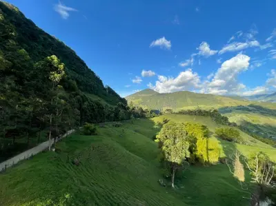 an aerial view of a valley with trees and mountains at Gulupa Ecolodge in Jardin