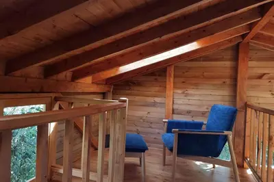 two blue chairs in a room with wooden walls at La Casa En El Bosque in El Retiro