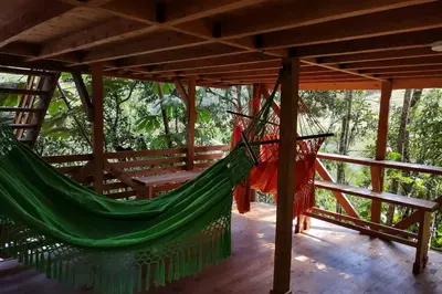 a hammock on the porch of a house at La Casa En El Bosque in El Retiro
