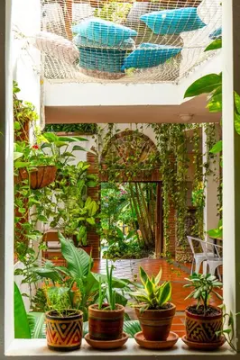 a group of potted plants sitting on a window sill at Encomendero Hotel -Centro Histórico- in Santa Fe de Antioquia
