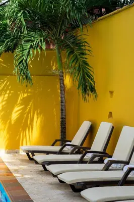 a row of empty lounge chairs with a palm tree at Curazao Hotel -Centro Histórico- in Santa Fe de Antioquia