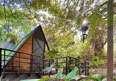 a small cabin in the woods with a tree at All Natural Glamping in Copacabana