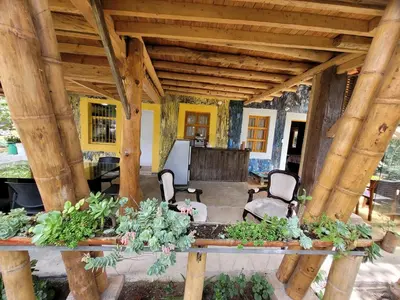 a patio with a table with plants on it at Refugio en el Bosque in Medellín