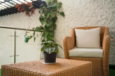 a potted plant sitting on a table next to a chair at HOTEL A & A SANTA ALEJANDRIA in Medellín