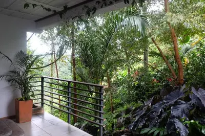 a balcony with a bunch of plants and trees at Casa NATIVO in Jardin