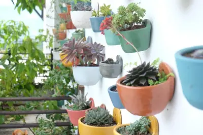 a bunch of potted plants hanging on a wall at Casa NATIVO in Jardin