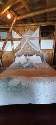 a bed in a room with a mosquito net at Ecohotel Soplo del Tambo in Cocorná