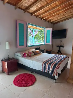 a bedroom with a bed with a window and a red rug at Cabaña Noche De Luna in Jardin
