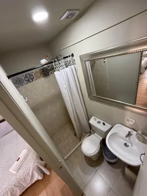 a bathroom with a shower and a toilet and a sink at Del Rocío Alojamiento -ANDES in Los Andes