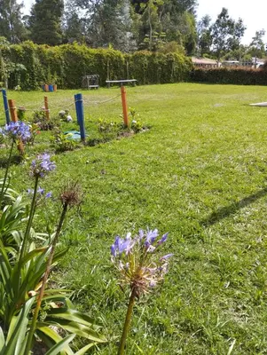 a garden with purple flowers in the grass at Samaria, un lugar para descansar y disfrutar in Santa Elena