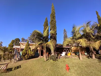 a house with palm trees and a toy in the yard at BioHotel Ecohouse in Guarne