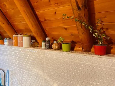 a shelf with potted plants on top of it at BRUMA BLANCA CHALETS in Medellín