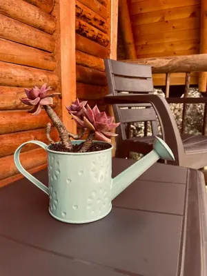 a potted plant sitting on a table next to a chair at BRUMA BLANCA CHALETS in Medellín