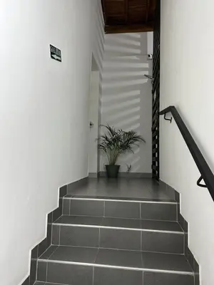 a stairway with a potted plant in the middle at Aparta estudio amoblado 2 Medellin, San joaquin in Medellín