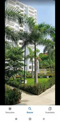 a palm tree in front of a building at Apartamento Citadela Di Sole Santa fe De Antioquia in Santa Fe de Antioquia
