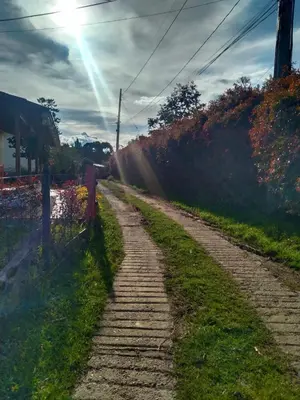 a dirt road with the sun shining on it at Galilea in Santa Elena