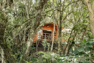 an orange tree house in the middle of trees at Cabaña en Medio del Bosque con Jacuzzi - Santa Elena in Santa Elena