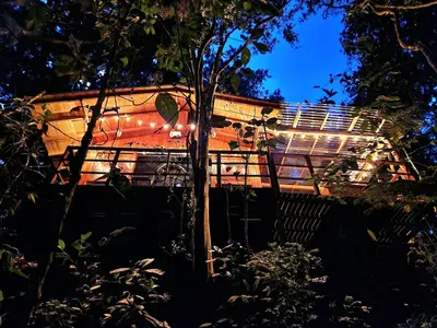 an old train sitting in the middle of trees at Cabaña en Medio del Bosque con Jacuzzi - Santa Elena in Santa Elena