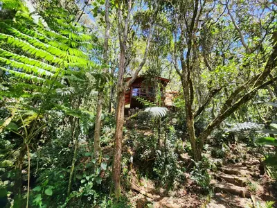 a cabin in the middle of a forest with trees at Cabaña en Medio del Bosque con Jacuzzi - Santa Elena in Santa Elena
