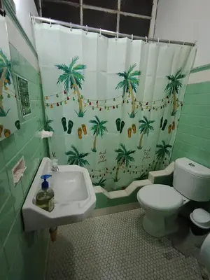 a bathroom with a shower curtain with a toilet and a sink at Hostal Mirador Andino in Manizales