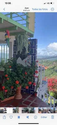a picture of a plant in front of a building at Villa NiNa in Manizales