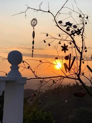 a sunset with the sun setting behind a tree at Villa NiNa in Manizales