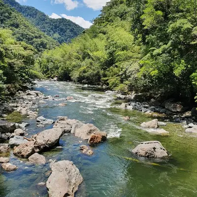 a river with rocks and trees on a mountain at Ecofinca Fuente Alegre in Cocorná