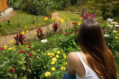 a woman looking at a garden with flowers at Cabañas Villa Juliana in Jardin