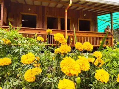 a bunch of yellow flowers in front of a house at Cabañas Villa Juliana in Jardin
