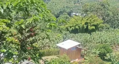 a small wooden cabin in a field of trees at Cabañas Villa Juliana in Jardin